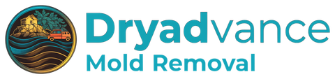 Dryadvance Mold Removal